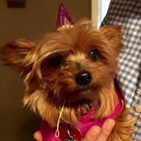 Tracey Stout Photo 30