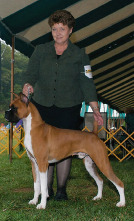 Kristina Perry Photo 24