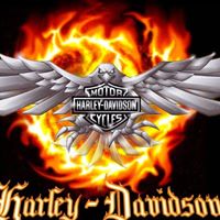 Belinda Walter Photo 7