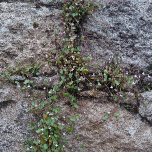 Karen Tobin Photo 45