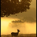 Dawn Hinds Photo 27