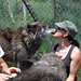Jennifer Wolf Photo 30