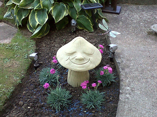 Sharon Hill Photo 44