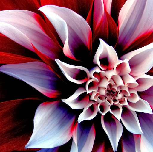 Kimberly Girard Photo 6