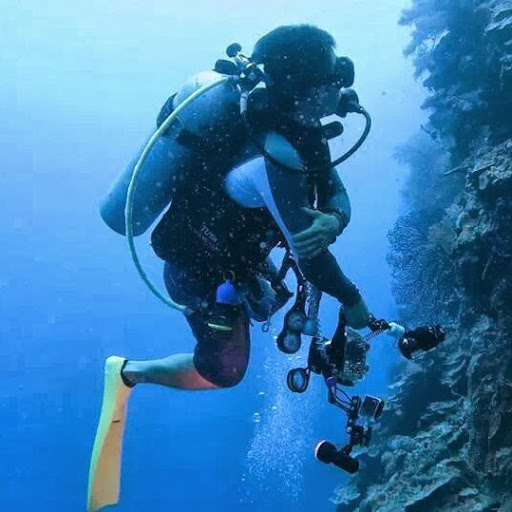 Liangyu Chen Photo 8