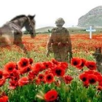 Catherine Keating Photo 11