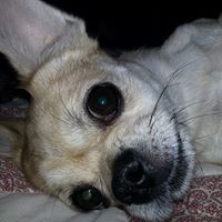 Traci Summers Photo 25