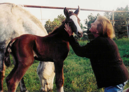 Sue Smith Photo 17 Sue Smith Photo 17