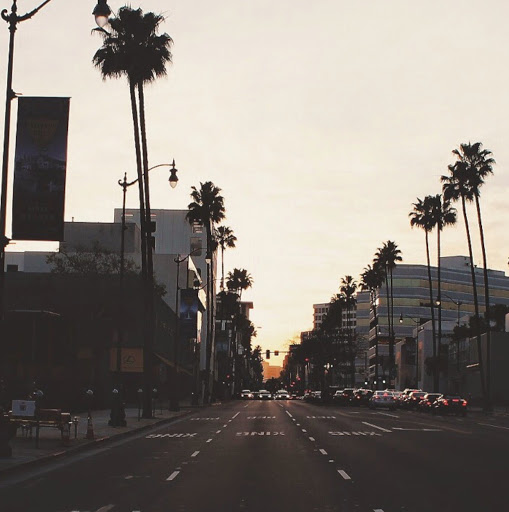 Alexander Stark Photo 6