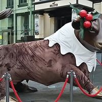 Catherine Mclean Photo 20