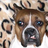 Darla Wegner Photo 1