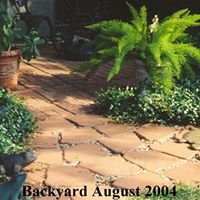 Raymond Bean Photo 25