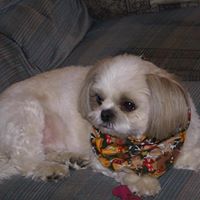 Kathy Freese Photo 17