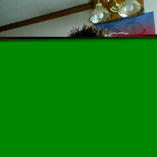 Kathy Barnett Photo 13