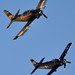 Douglas Wright Photo 49