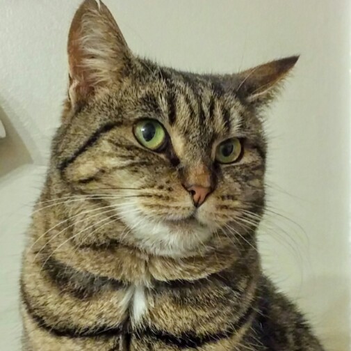 Andrea Potter Photo 24