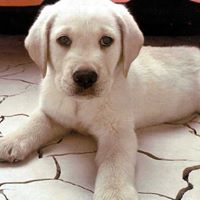 Marie Garrett Photo 44