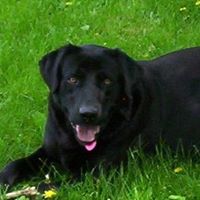 Kathy Morris Photo 10