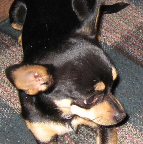April Reed Photo 13
