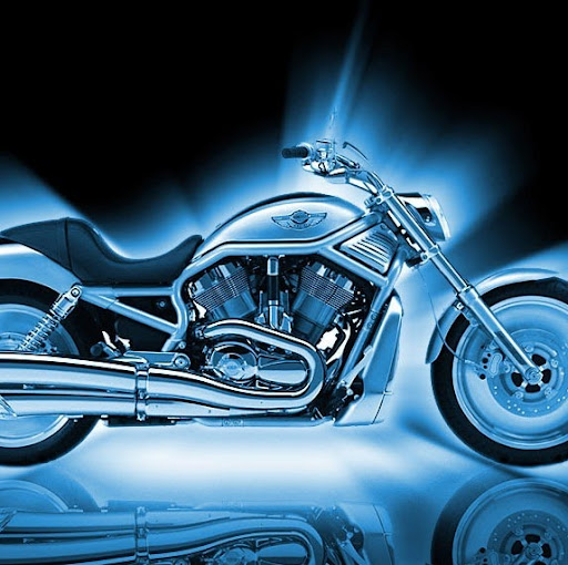 David Pagano Photo 28