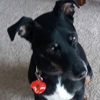 Geraldine Richardson Photo 10