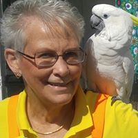 Joann Shaw Photo 25