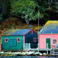 Scarlett Mcpherson Photo 1