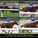 Robert Thornton Photo 42