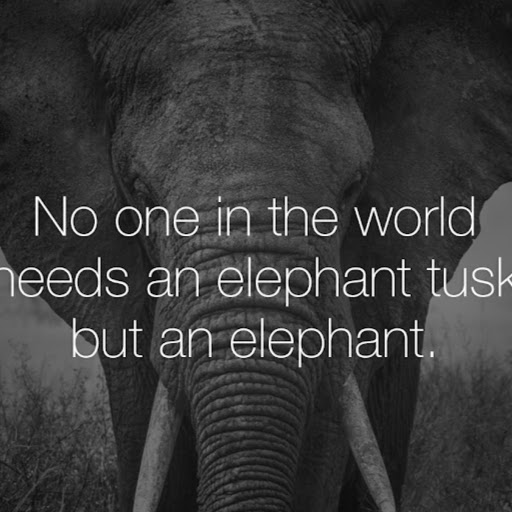 Julie Arsenault Photo 14