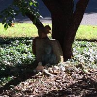 Scott Merwin Photo 3