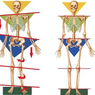 Michael Horowitz Photo 53 Michael Horowitz Photo 53