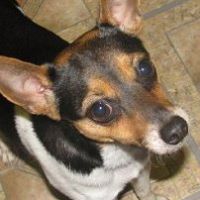 Keith Grove Photo 37