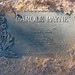 Carole Payne Photo 14