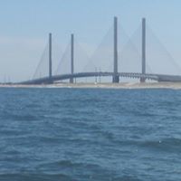 Jay Schaefer Photo 18