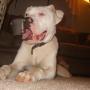 Jim Blevins Photo 2