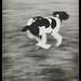 Joy Massey Photo 35