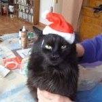 Rebecca Moffitt Photo 14