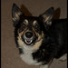 Paul Willis Photo 22