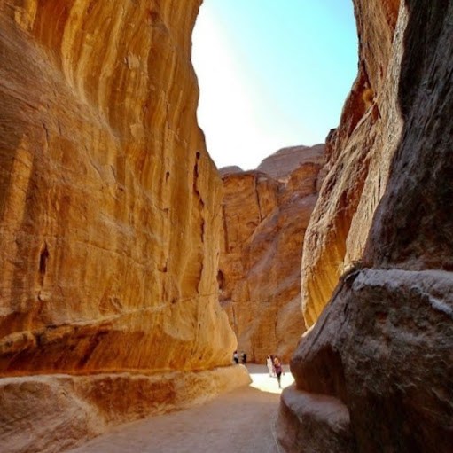 Phil Carroll Photo 45