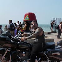 Michael Seely Photo 9