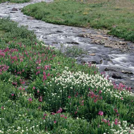 Michael Tyler Photo 51