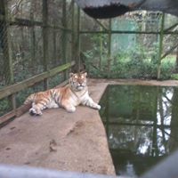 Jeremiah Beck Photo 6