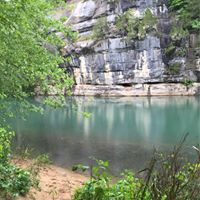 Stephanie Cowan Photo 36 Stephanie Cowan Photo 36