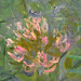 Daniel Slifka Photo 7