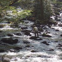 James Chandler Photo 39