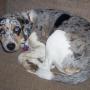 Anita Mills Photo 11