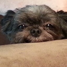 Barbara Post Photo 20