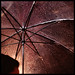 Carl Rains Photo 20