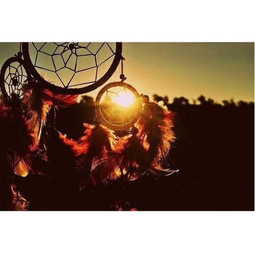 Lenora Harris Photo 9