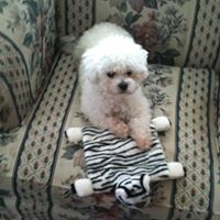 Sue Chesser Photo 3